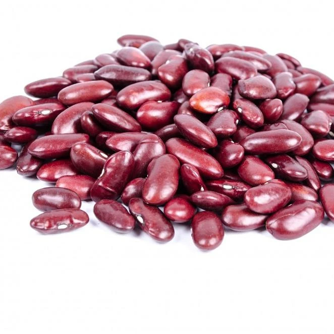 canned dark red kidney beans in brine with high quality