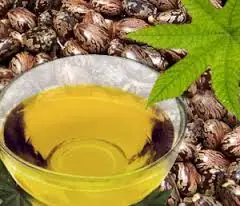 Castor Oil 2.jpg