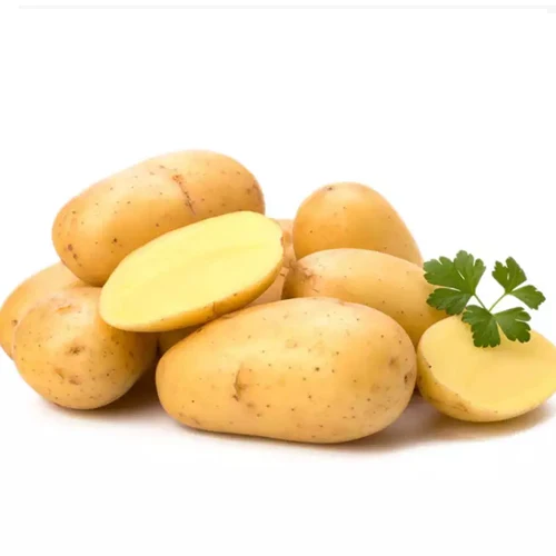 New crop of fresh potatoes for Export to the world high quality sweet potato low price top grade products