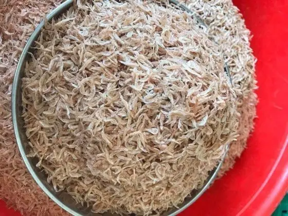 High Quality Dried Baby Shrimp from Vietnam Ready for Export Large Quantities Cooked Frozen Fresh Styles Preserved Brine Process