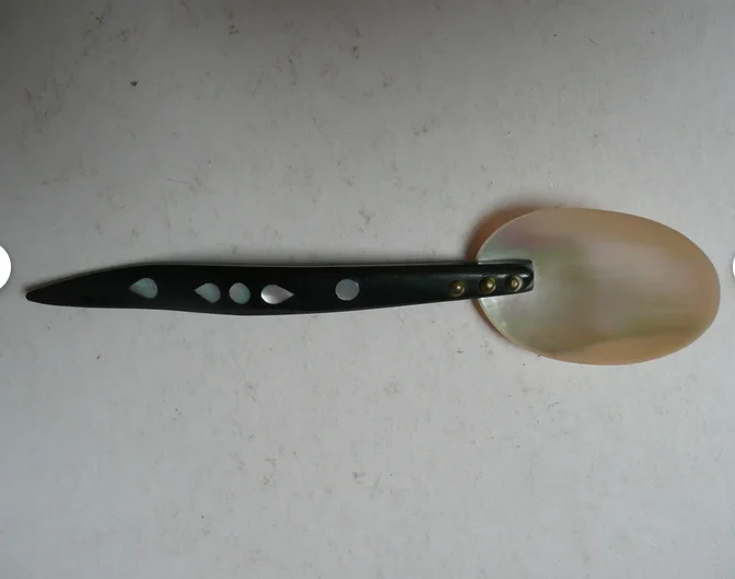 Mother of pearl spoon with buffalo horn handle Caviar spoon 20 cm 100% Indian handicrafts Perfect for serving Premium Caviar