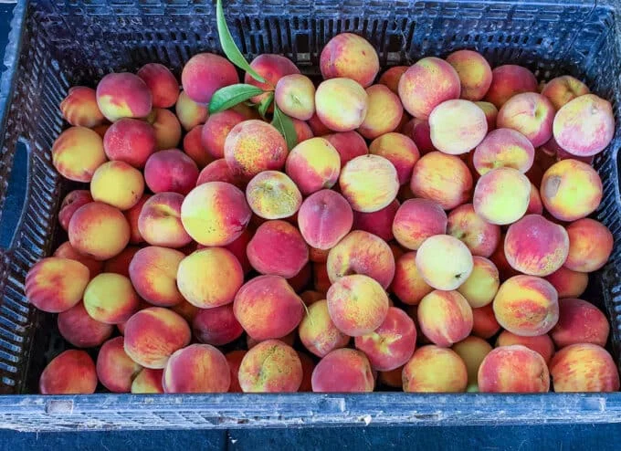 peaches fruit Fresh Peaches