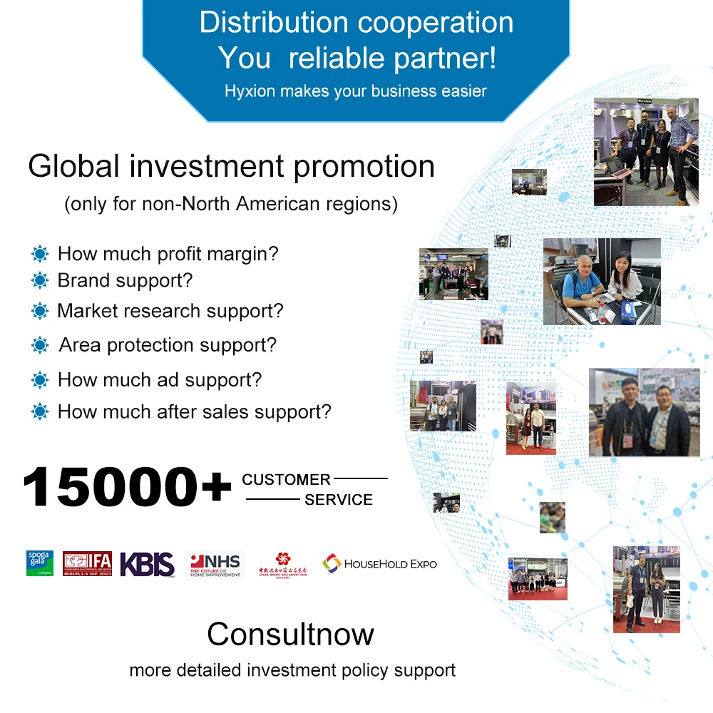 Hyxion stainless steel wood fired used pizza ovens for sale