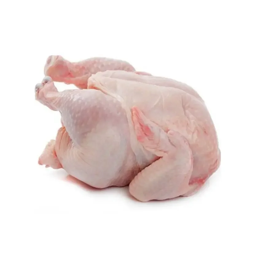 Ready To Export Halal Whole Frozen Chicken Feet Natural Frozen Chicken Paws Poultry Meat for Sale