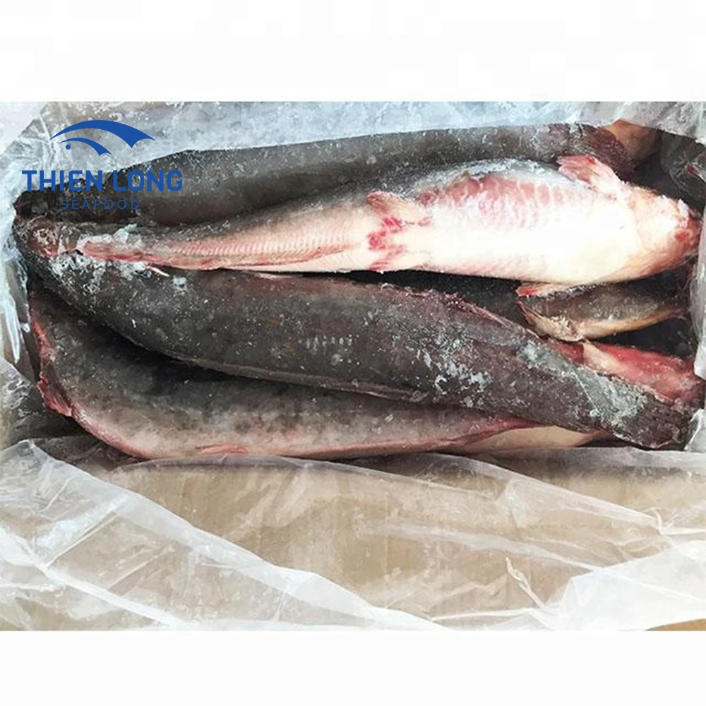 Frozen catfish fresh walking catfish whole cleaned food export products IQF catfish fish