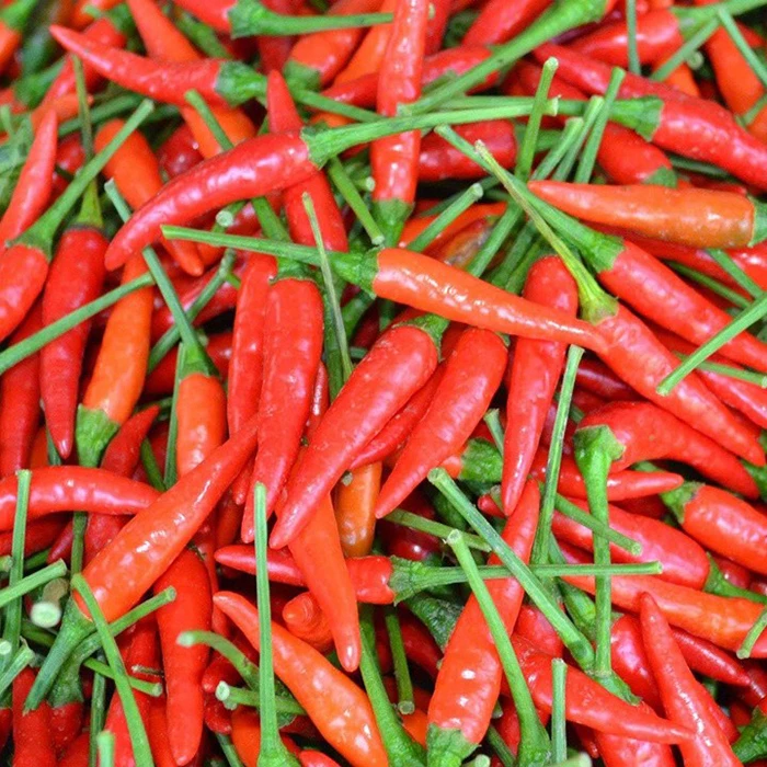 Multi usage for cooking 2 years package quality shelf life raw processing type chili Dried Red Chili from Vietnam