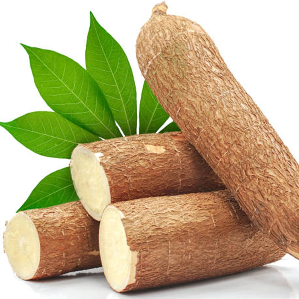 Raw dry Cassava / Dried Cassava from Vietnam (Material for Starch) Wholesale with cheap price