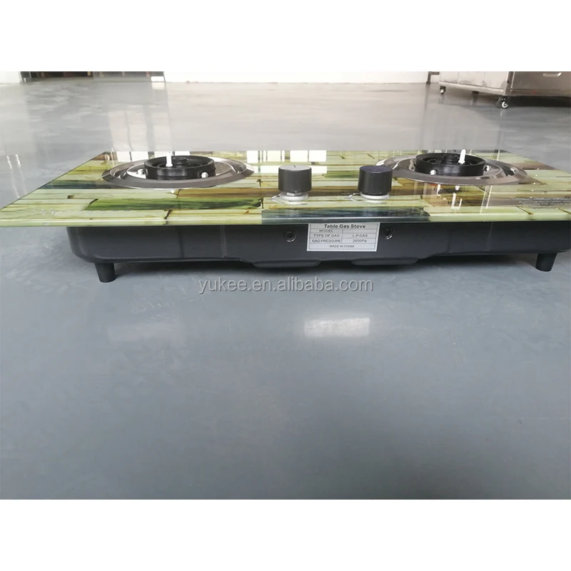 Kitchen Appliance Indoor Double Burner Gas Cooker Tempered Glass Gas top built-in Cooker Gas Stove