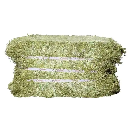 ALFALFA HAY BALE PREMIUM STANDARD FOR SALE