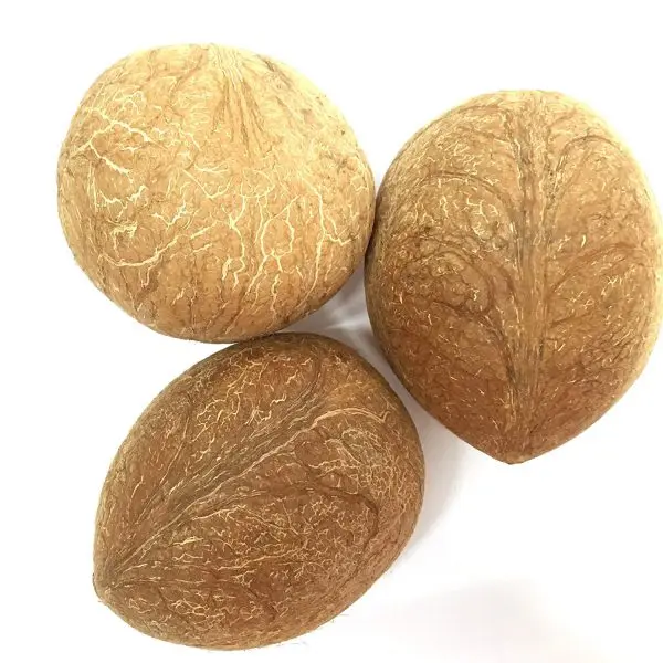 Best Quality Copra Ball Dry Fruit For Eating At Wholesale Price