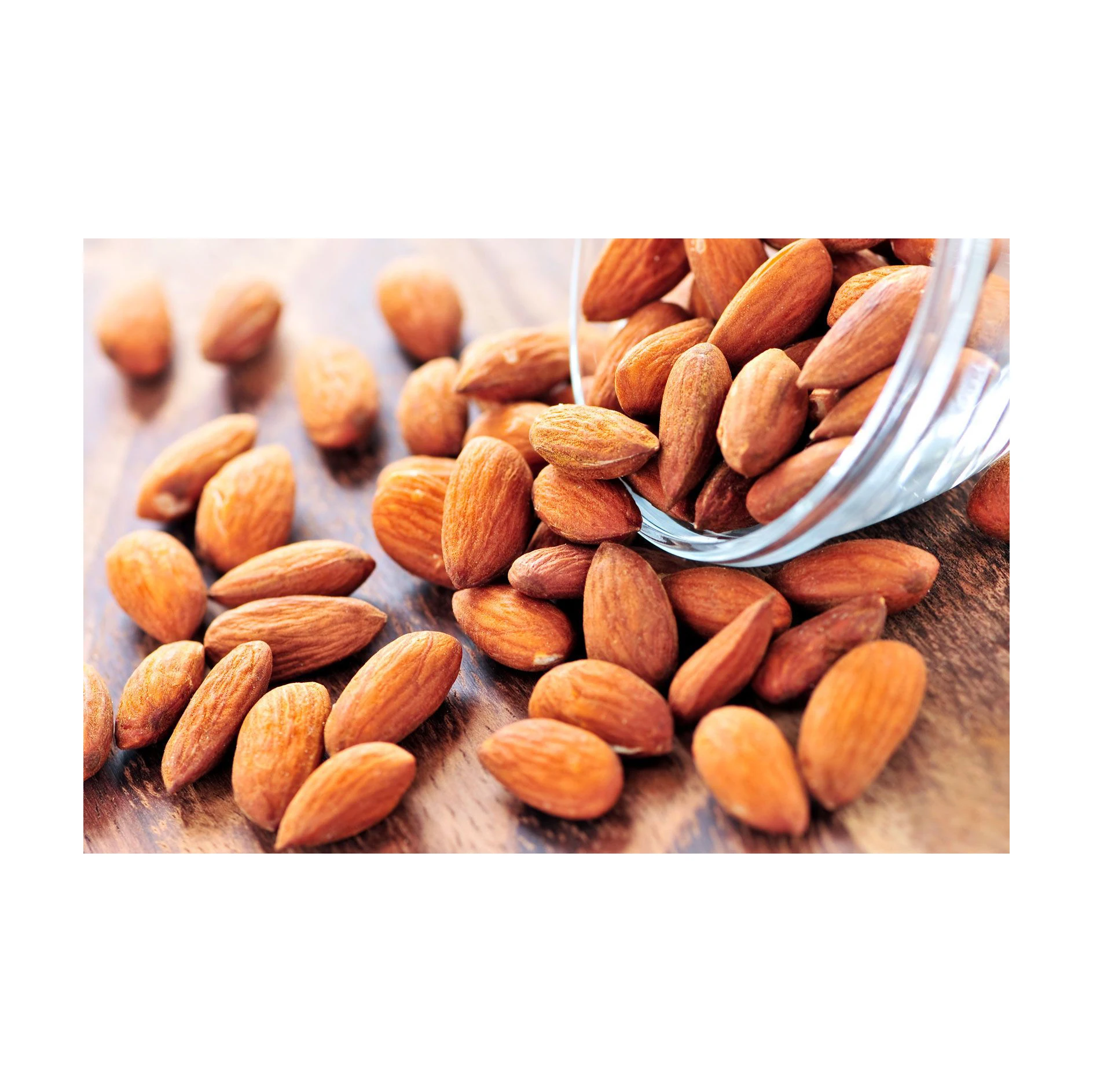 Wholesale Casual Snacks Dried Fruit Original Shelled Almond Nuts