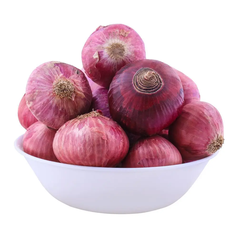 Top  New Session Best Selling Red Fresh Onion From India Manufacturer