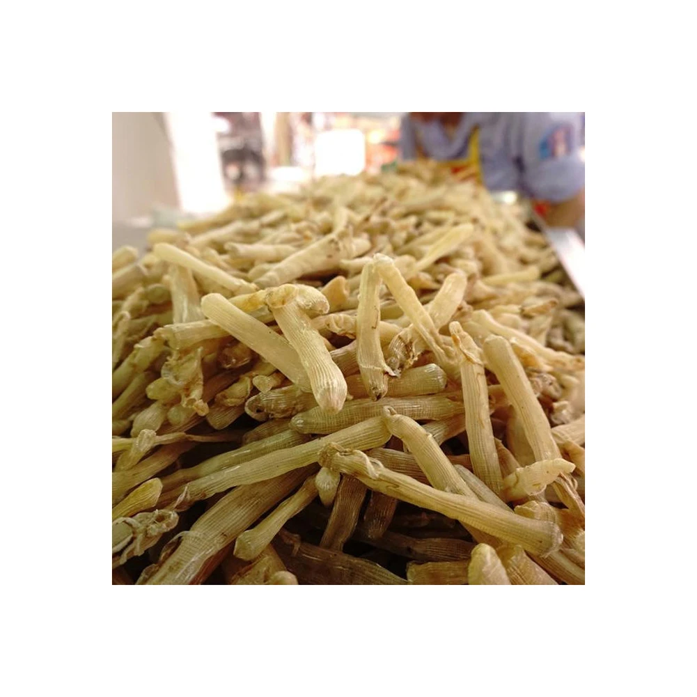 Freeze Dried Bibi Worms Peanut Worm Fishing Bait for salt water fishing