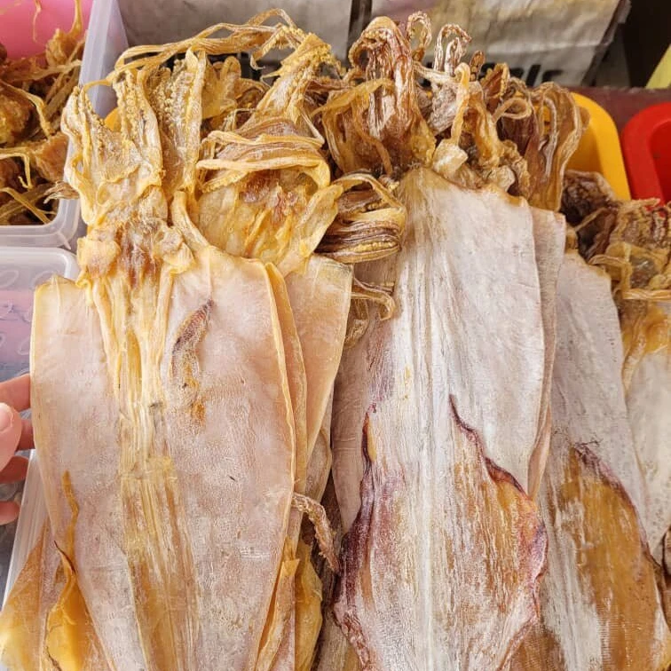 Manufacturer OEM Frozen Specialty bulk dried squid Dried Food
