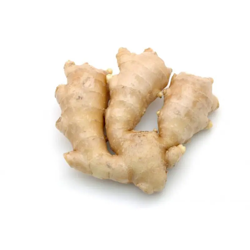 Indian Exporter of Dry Ginger Single Spices & Herbs at Wholesale Price