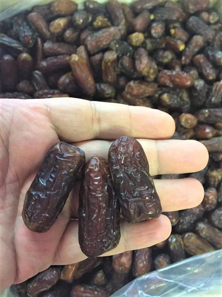Dry Fruits From Saudi Mozafati/Kabkab/Sayer/Zahedi/Piarom/Gulf Dates in good price from supplier..