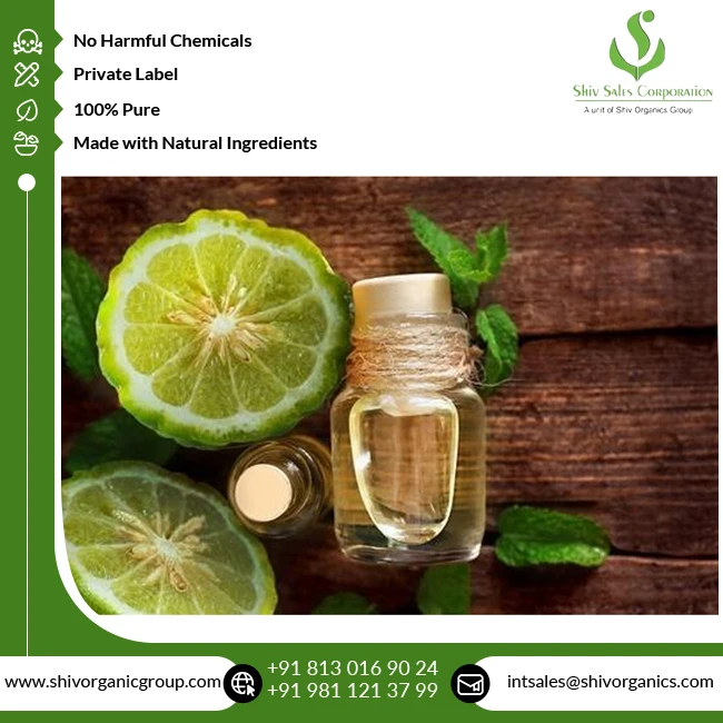Best Quality Top Selling 100% Natural & Pure Bergamot Essential Oil for Wholesale Buyers