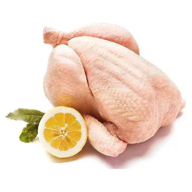 Premium Supplier Halal Frozen Whole Chicken Halal Chicken Processed Meat from INDIA