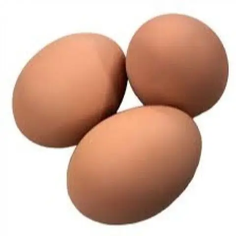 Broiler Hatching Eggs Cobb 500 and Ross 308 / Chicken