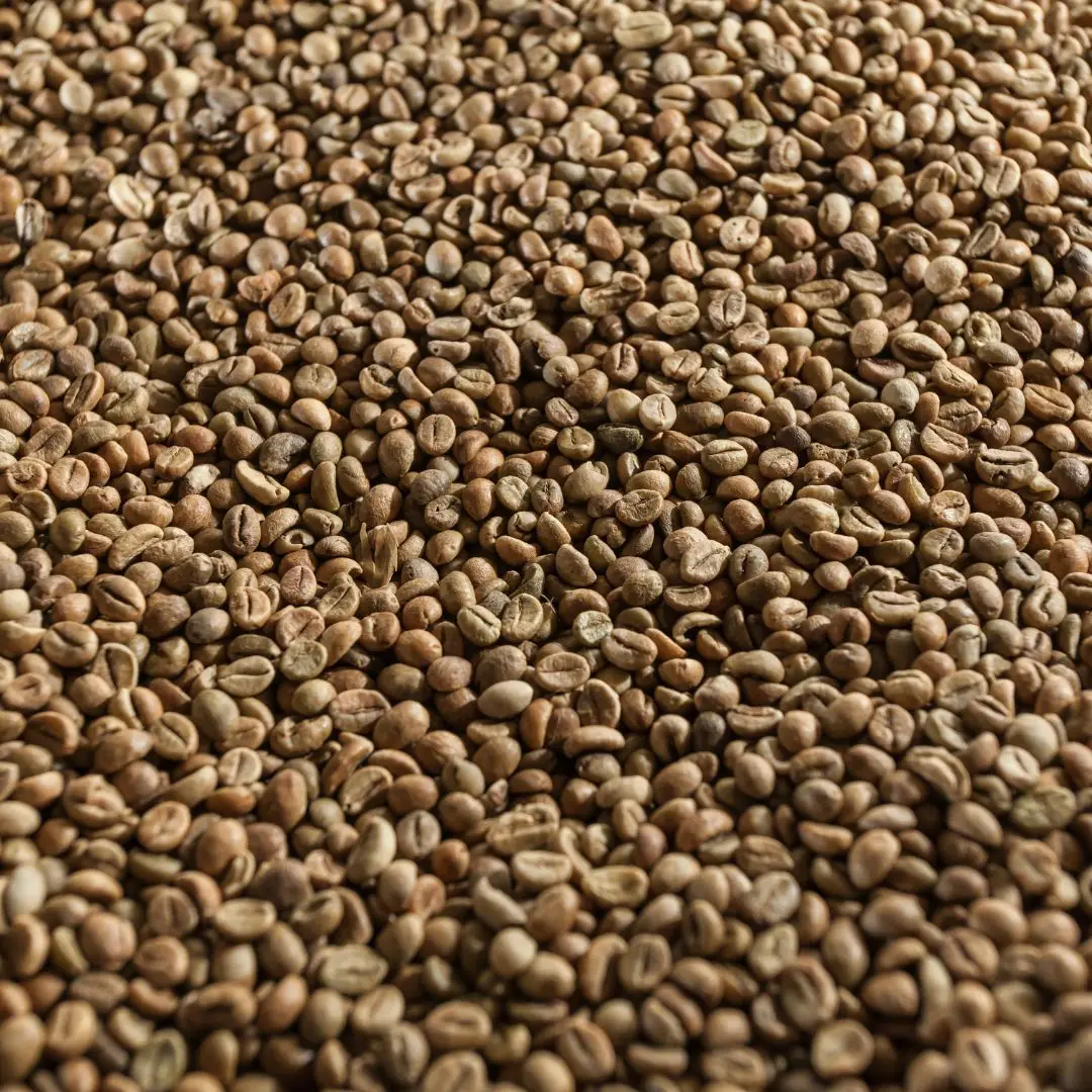 Мягкий мешок жареного кофе в зернах OEM Premium Arabica Coffee Vietnam 0 25 кг высококачественный зеленый 18 напиток премиум класса