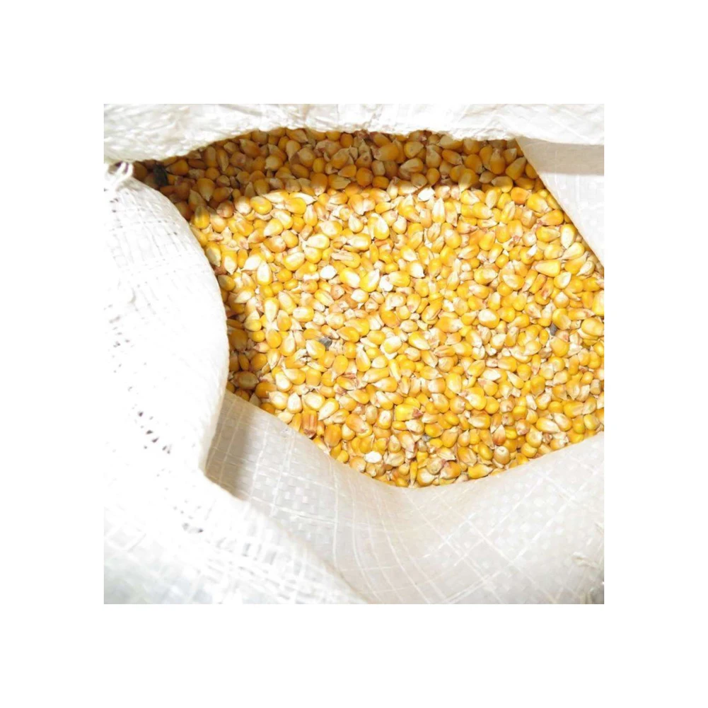 Best selling high on demand standard quality dried yellow corn at 100% wholesale exporter from Philippines