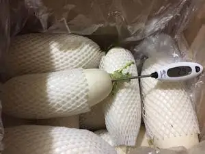 Factory direct sale radish  white radish fresh vegetables fresh radish delicious taste