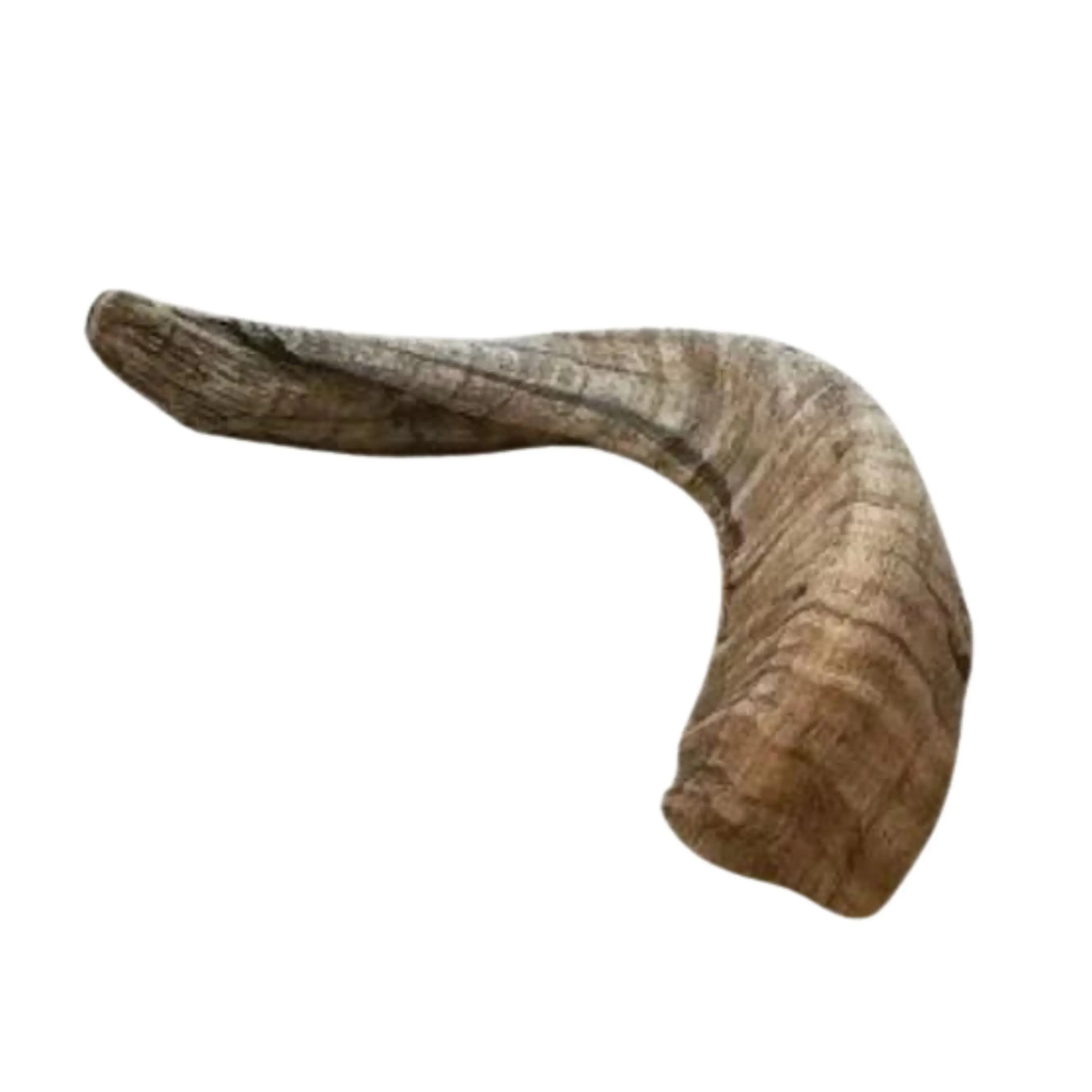 Indian Ram Horn for Pet Chew Toys Elegant Goat Horn Product with Free Sample Wholesale Dog Treats Prices