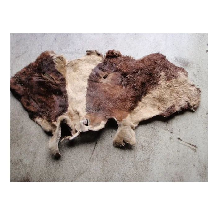 Best Price Raw Wet Salted and Dried Cow Leather / Hides / Skins Bulk Stock Available With Customized Packing