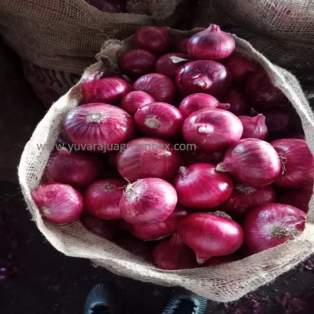 Beauty layer structure yellow shade big onion different flavor and texture of white red yellow big onion