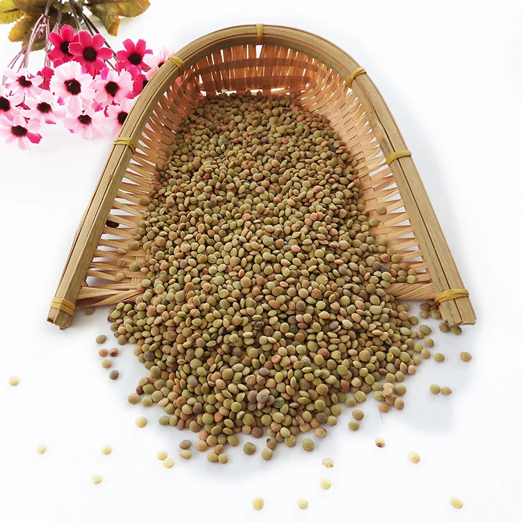 High quality Green Lentils ecological product of Russia wholesale prices lentils for sale in bulk