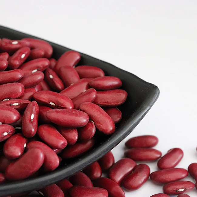 For Sale red kidney beans price with Light Speckled Kidney Beans