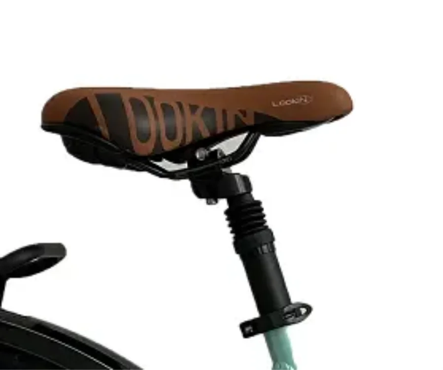 electric bicycle with Smart type Sensor, bluetooth, Digital, Voice control