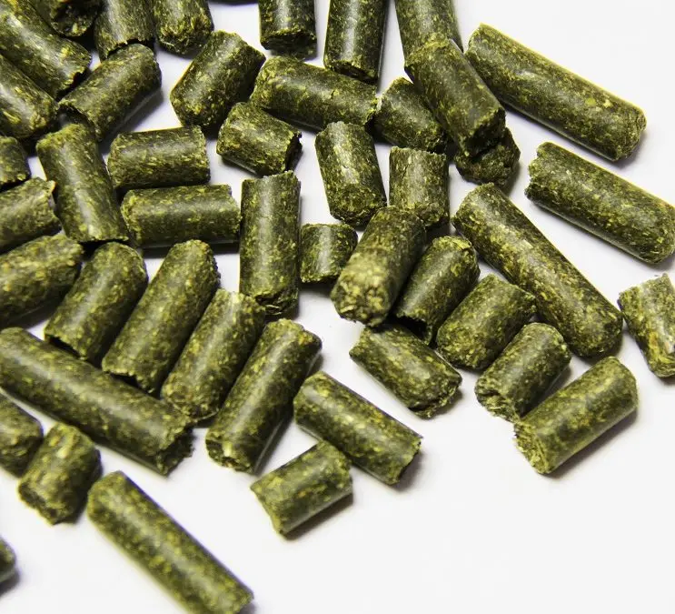 Factory Price Good Quality Sugar Beet Pulp Alfalfa Pellet Wholesale Sugar Beet