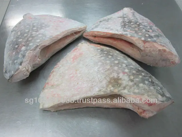 Frozen Fish Fresh Tilapia Supplier Block Bulk Style Packaging Package Weight Lbs Shelf Origin Moonfish HG - Frozen Sea