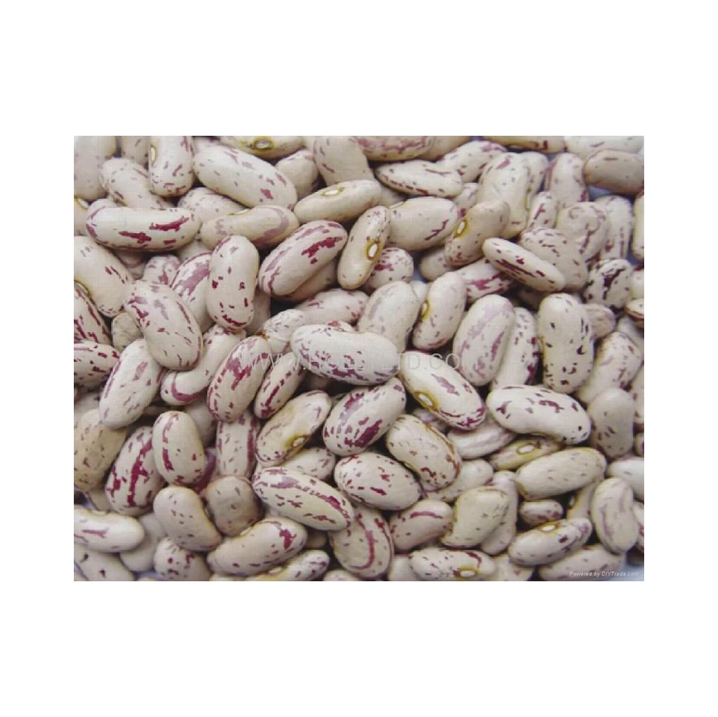 Widely Used Superior Quality Kidney Pinto Beans Wholesale Light Speckled Kidney Bean