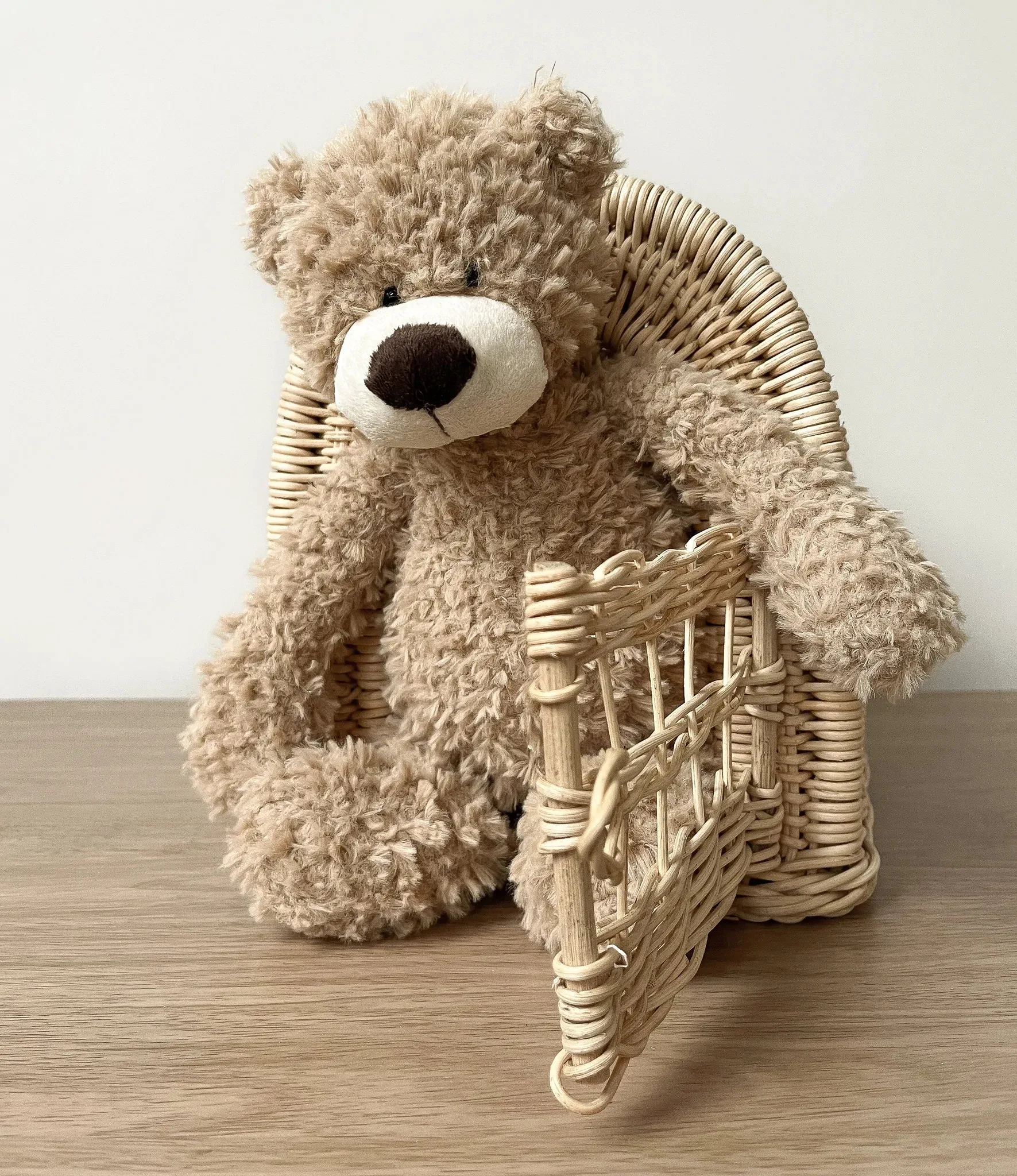 Custom comfortable rattan wicker pet carrier backpack bag accessories with cushion for export