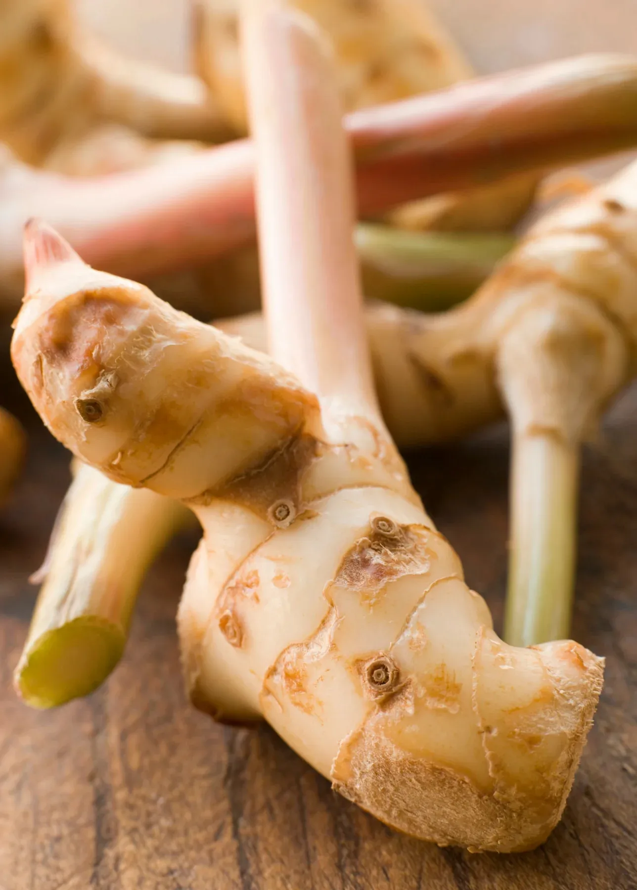 Белый замороженный свежий корень Расми galangal для хорошего