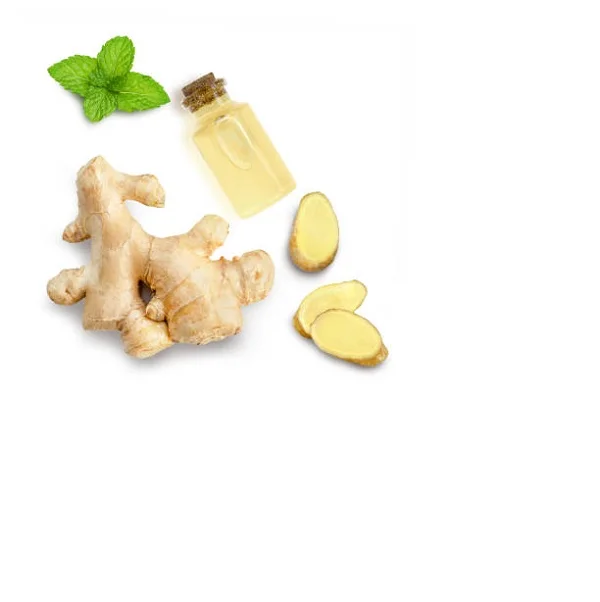 100% Pure Natural  Ginger Root Essential Oil From India at wholesale price