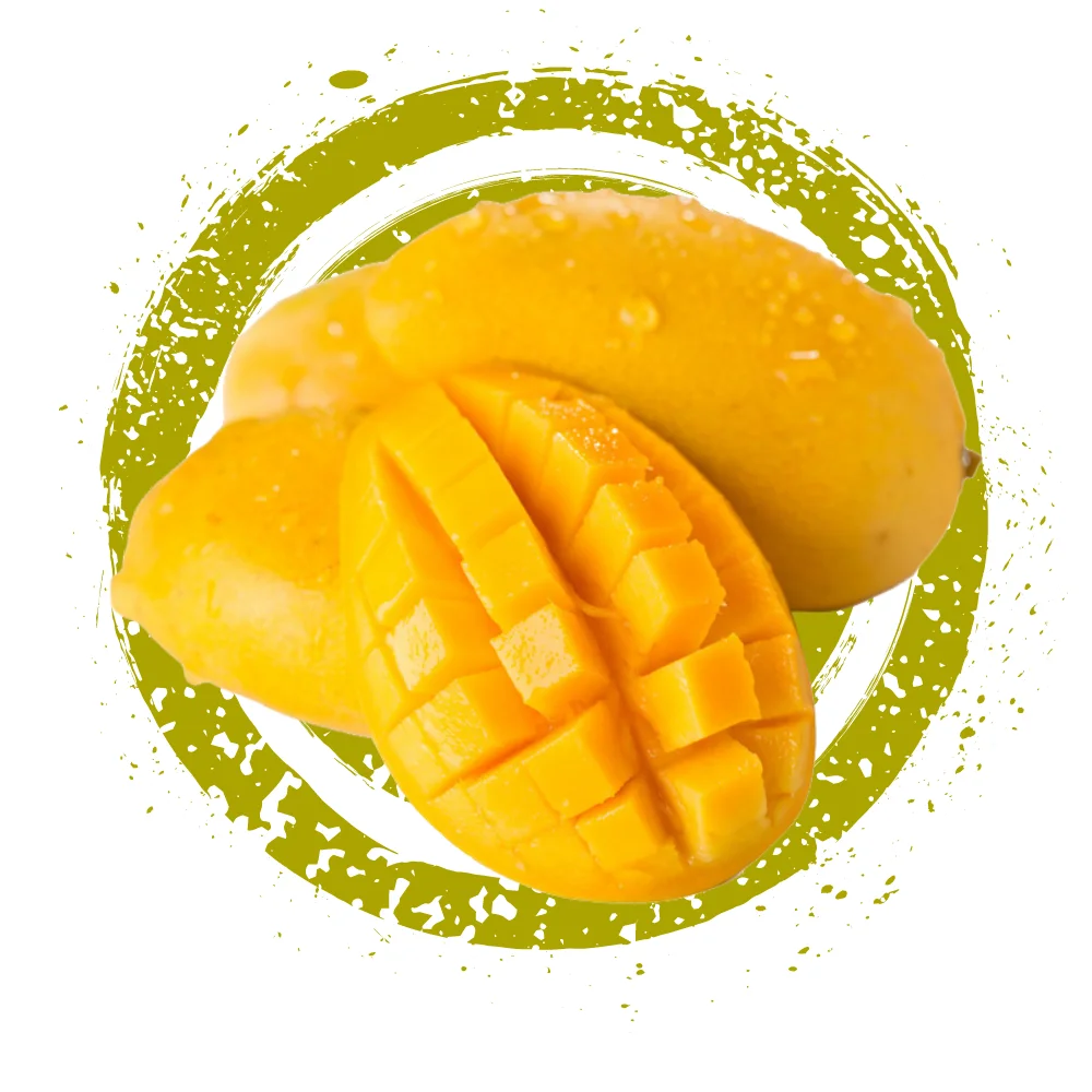 Thailand Export Quality  Best Selling Mangoes Known As Nam Dok Mai