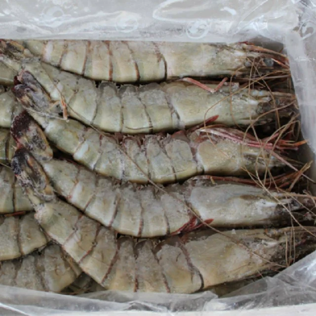 Bulk Stock Available Of Red Shrimps Prawns / Frozen Vannamei Shrimp (Seafood) At Wholesale Prices