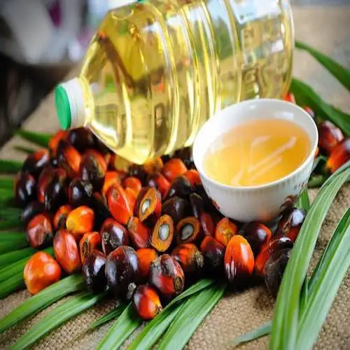 Crude Premium Quality Refined Palm Oil High Quality Red Palm Oil For Sale Canadian Red Oil