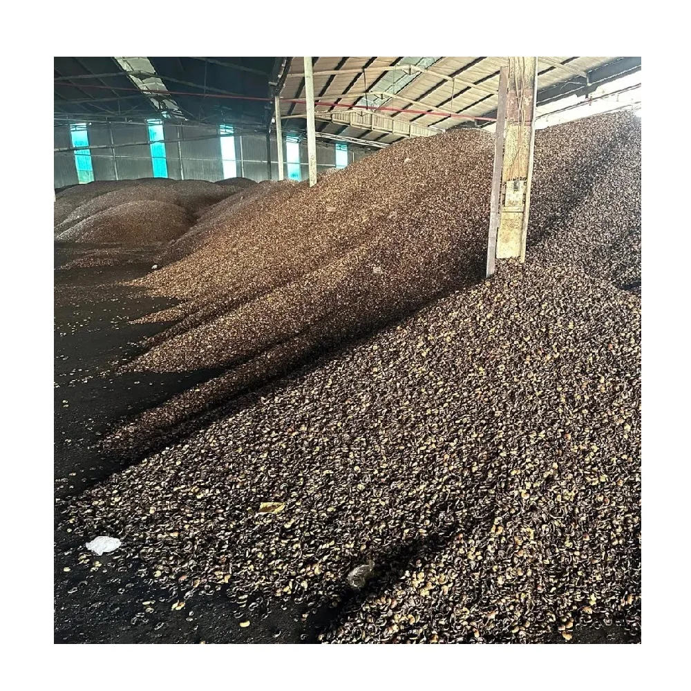 Хорошая цена продажа орехов кешью 1 - 10 мм натуральное сырье оптовая шелуха для потребления человеком из Вьетнама