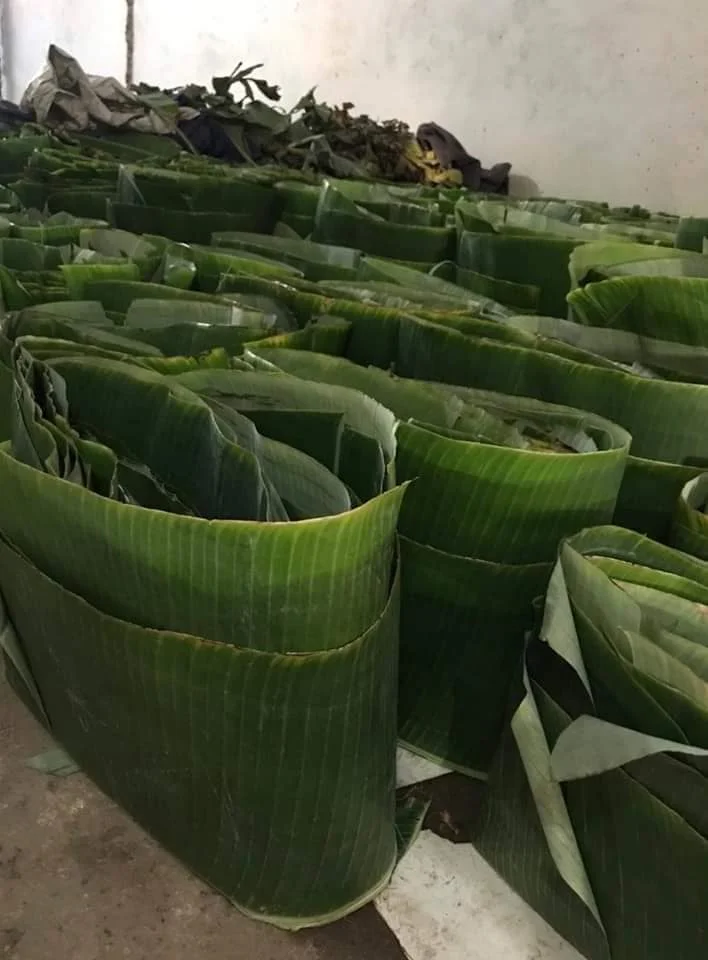 Price Color Whole Package Top Sale Shape Processing Banana Leaves Frozen Leaf HUNG TAM VN From