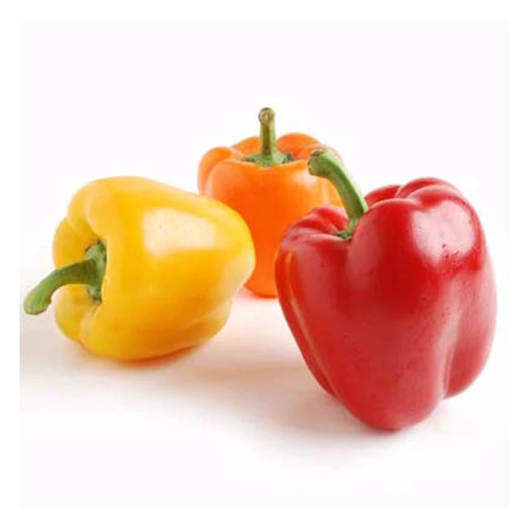 Export price frozen red bell pepper vegetable