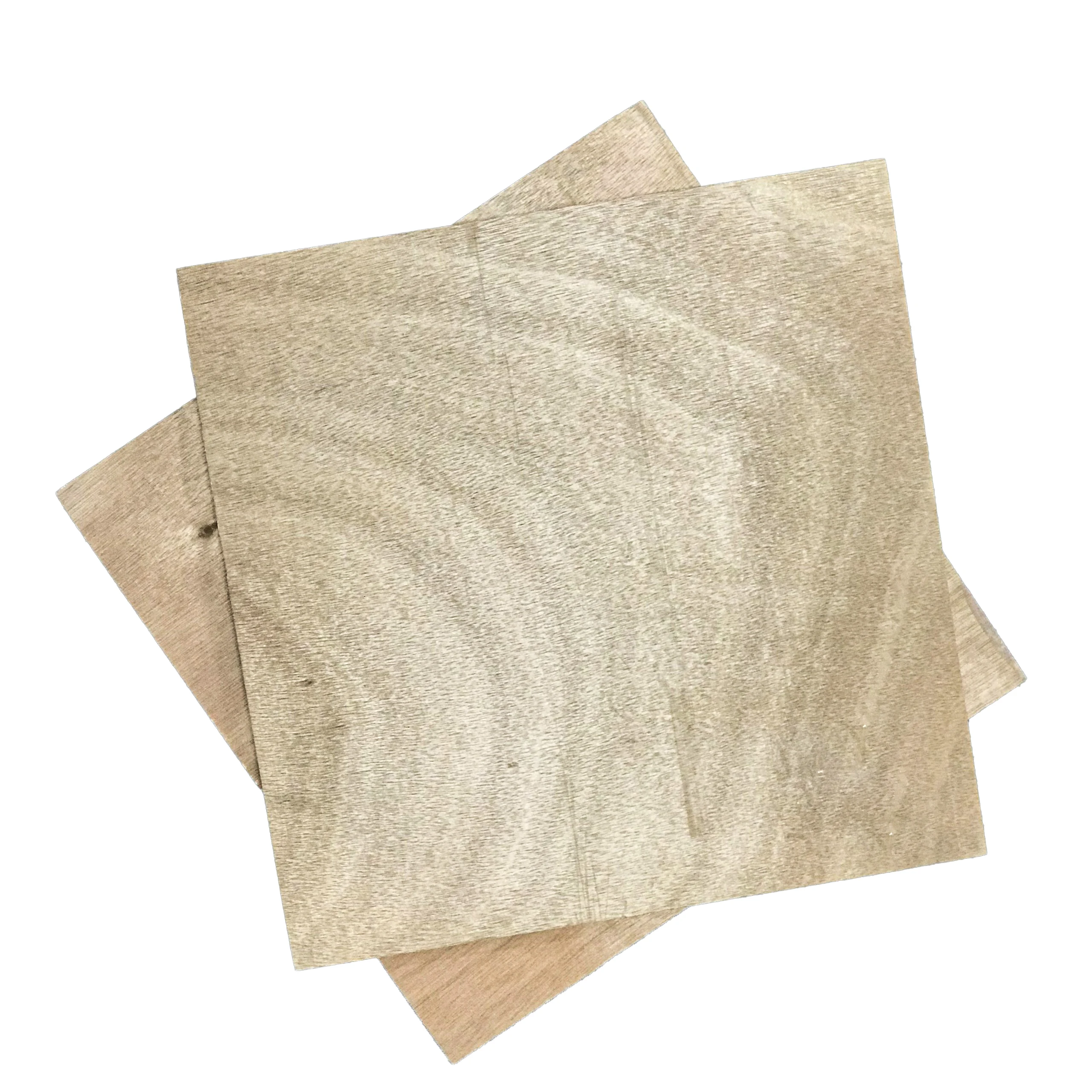 Professional Manufacturer of High Quality Waterproof Birch Plywood in Various 3MM -18MM for Home and Car Interiors
