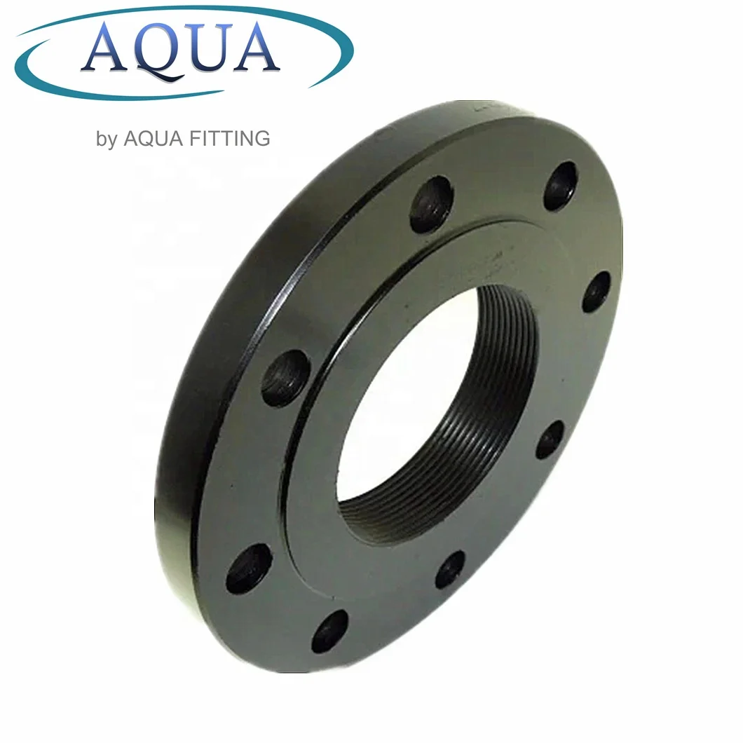 High precision, various styles Carbon Steel Flat Steel Threaded Flange DIN2566