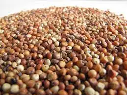 Best Quality Custom Made Wholesale Factory Price sorghum