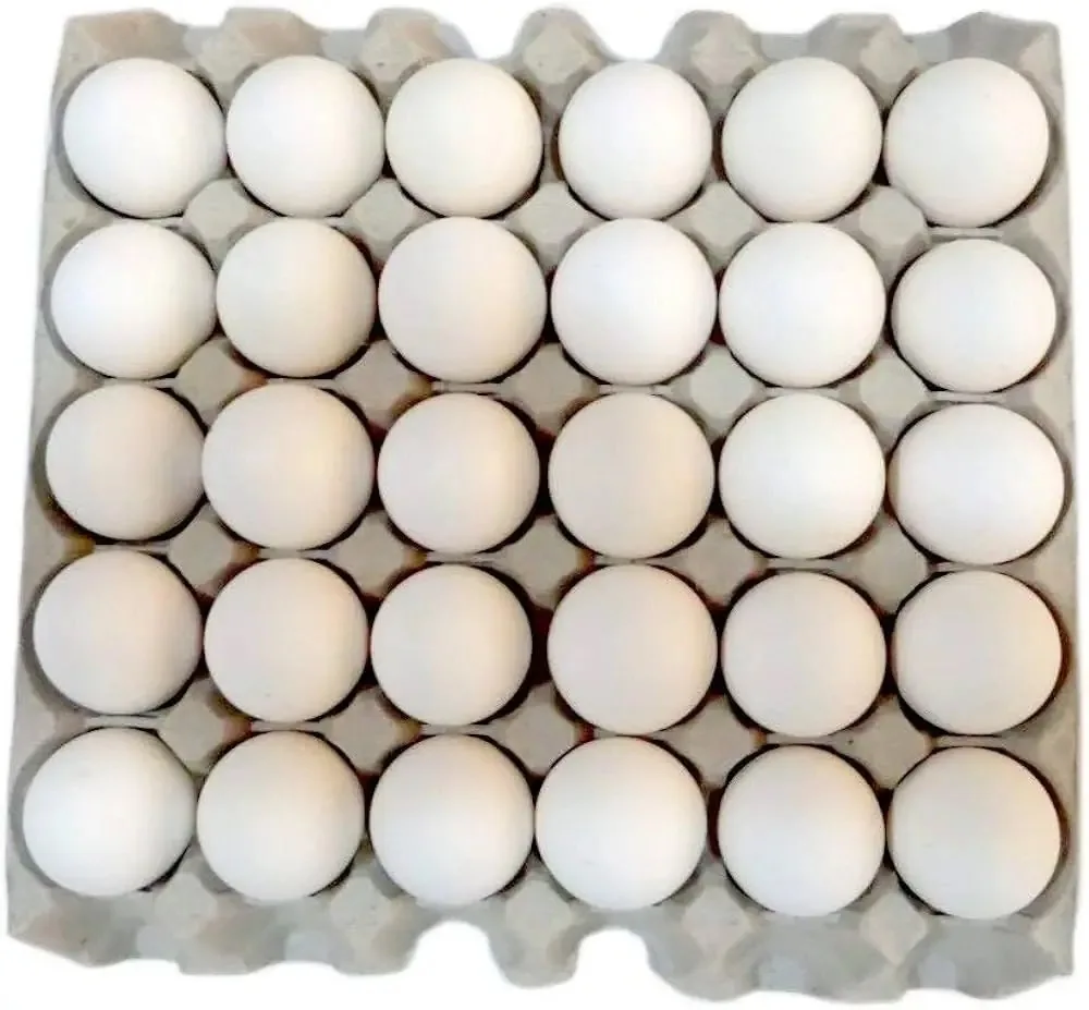 Good Quality Table Eggs and Broiler Hatching Eggs Ross 308 and Cobb 500 and Chicken Fresh Table Eggs Available