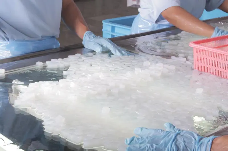 Микс-ароматизатор софтбокс Nata de coco Желейный напиток от производителя мяч бутылка конфеты вкусный белый пластик