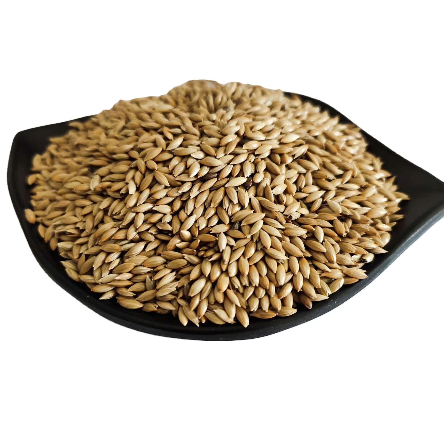 Canary Seeds-Canary Seeds Benefits for birds//Alpiste Canery Seed Powder for Diabetes //Bulk Animal Feed
